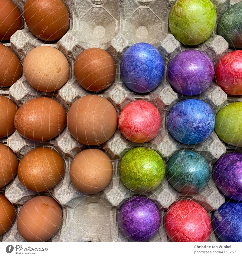 bunt gefärbte Ostereier neben natürlich braunen Hühnereiern Dekoration & Verzierung mehrfarbig Feste & Feiern Ostern Tradition Eier bunte Eier Freilandeier