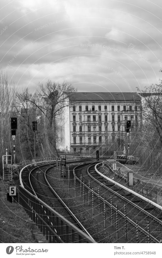 Stadtbahngleise durch die Stadt Berlin s/w Frühling S-Bahn Außenaufnahme Menschenleer Schwarzweißfoto Hauptstadt Tag Stadtzentrum Architektur Bauwerk Gebäude