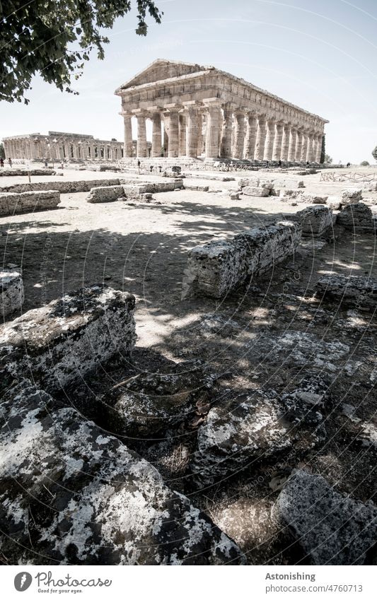 Paestum Kampanien alt Antike Altertum Steine Tempel Historisch Geschichte Wetter schönes Wetter Italien griechisch historisch Tourismus Außenaufnahme