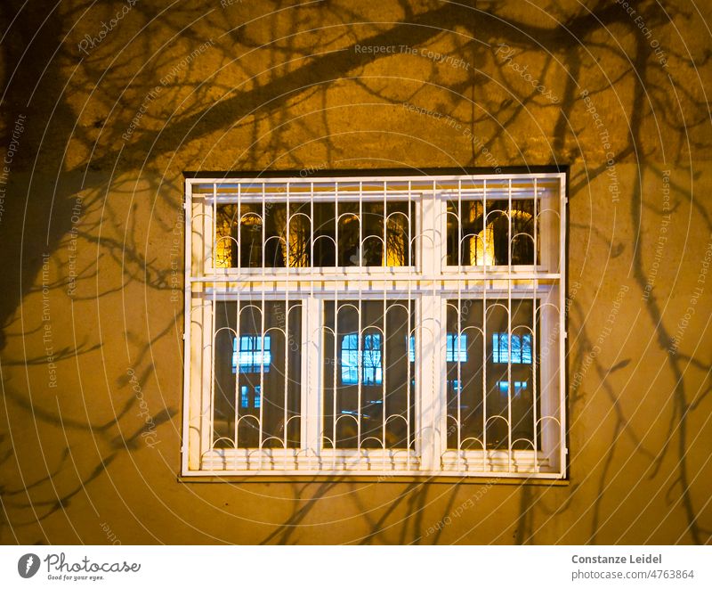 Vergittertes Fenster mit Spiegelung Reflexion & Spiegelung Schattenspiel Kontrast Licht Wand Mauer Haus Architektur Fassade Bauwerk Gebäude Stadt Baumschatten