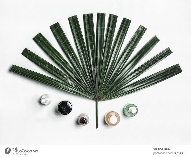 Naturkosmetik-Setting mit verschiedenen Schönheitsprodukten, Pipettenflaschen und grünem Palmenblatt auf weißem Hintergrund. kosmetische Einstellung Palmblatt