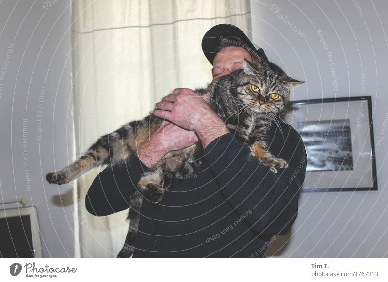 ein Mann mit Basecap hält einen großen Kater im Arm Katze Wohnung Haustier Tier Fell Hauskatze Tierporträt Blick beobachten kuschlig niedlich Tiergesicht