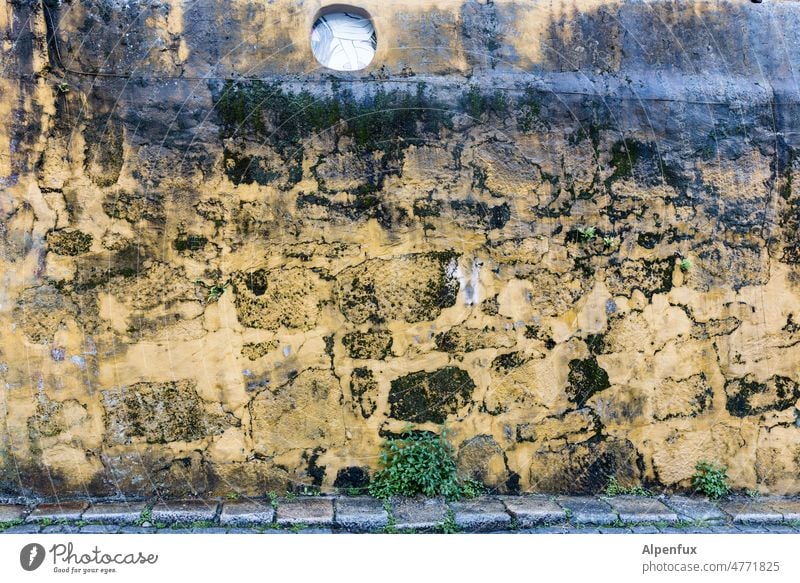 Naturgraffiti Mauer Wand Verfall alt Vergänglichkeit Farbfoto Menschenleer Fassade Gebäude Moos Schimmel kaputt Vergangenheit Wandel & Veränderung Außenaufnahme