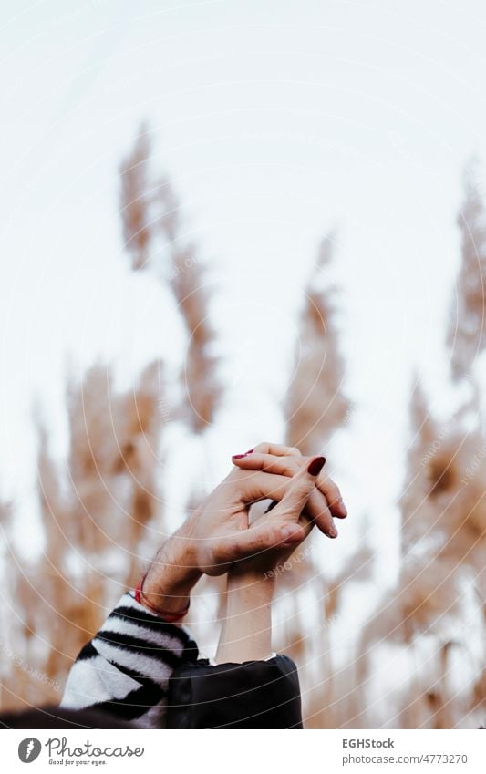 Nahaufnahme der verbundenen Hände eines Paares. Frau und Mann vereint verlinkt Hand Liebespaar Landschaft Zusammengehörigkeitsgefühl Anschluss Freundschaft