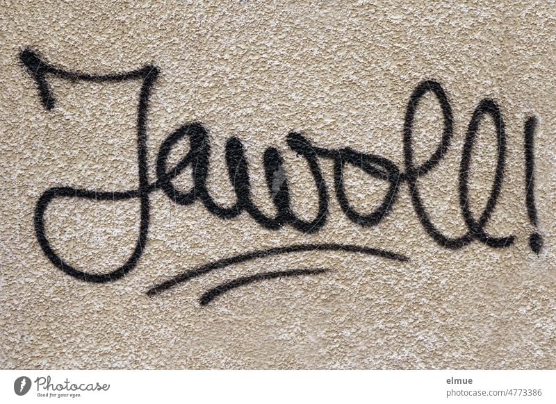 in schwarzer Schreibschrift steht  - Jawoll ! - an einer grob verputzten Wand / Graffiti Zustimmung Lob jawohl Typographie Schrift Schmiererei Jugendkultur