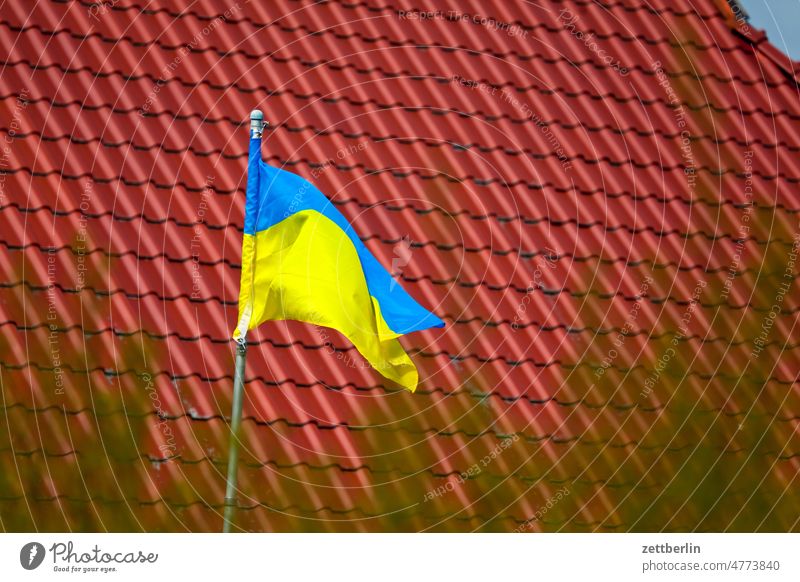 Ukrainische Fahne berlin büro deutschland fahne fassade fenster gebäude hauptstadt haus hoheitszeichen leben nation nationalität reise skyline solidarität