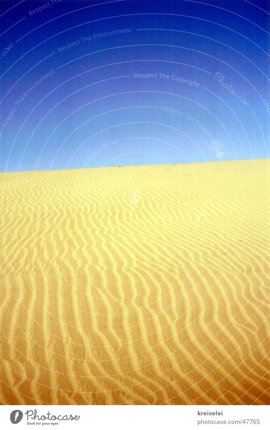 wüstes Gelb Physik Wüste Sand Himmel blau Strukturen & Formen Wärme