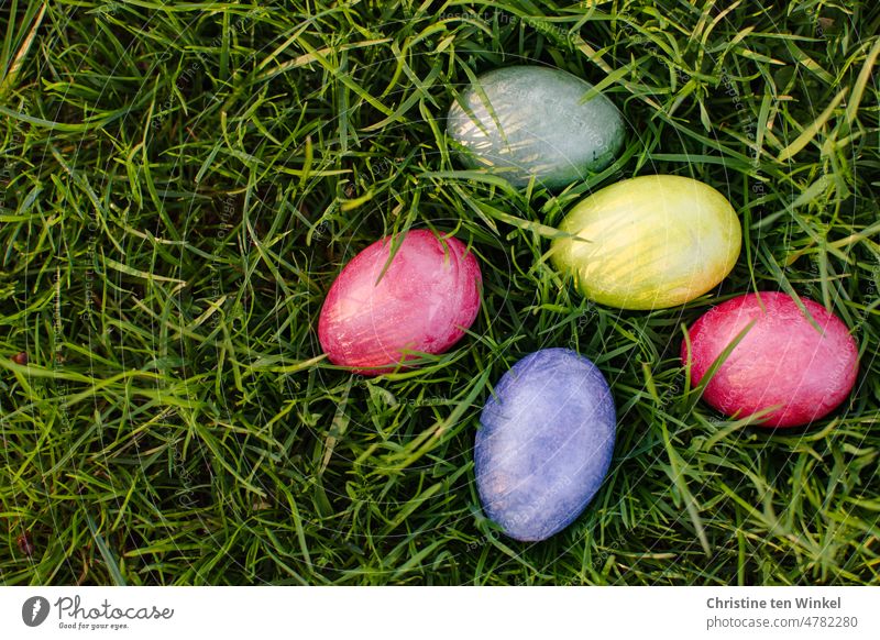 Bunte Ostereier liegen im Gras und im Sonnenlicht sind zarte Schatten der Grashalme auf den bunten Eierschalen zu sehen mehrfarbig Hühnereier Tradition