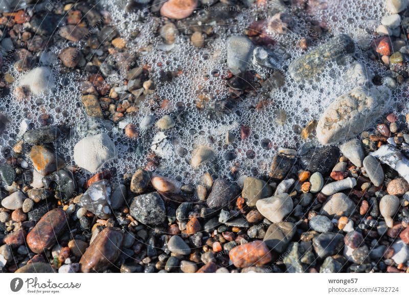 Träume sind Schäume … Ostseestrand Strand Meer Wasser Wellen Brandung Meeresschaum Luftblasen Uferlinie Küste Natur Farbfoto Außenaufnahme