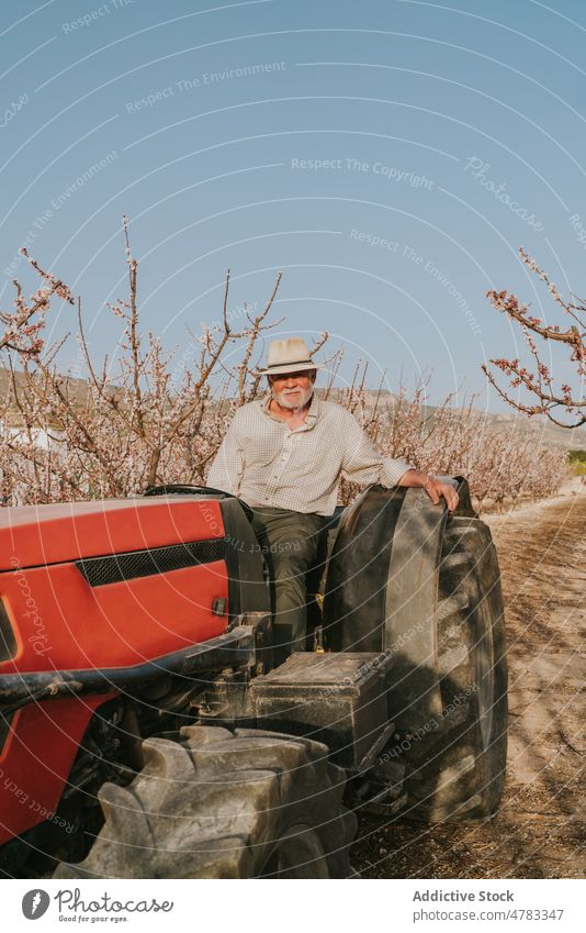Mann auf Traktor im Obstgarten industriell Baum Landwirt Aprikose Schonung Landschaft Industrie Blütezeit kultivieren Garten Ackerbau Flora Verkehr Pflanze