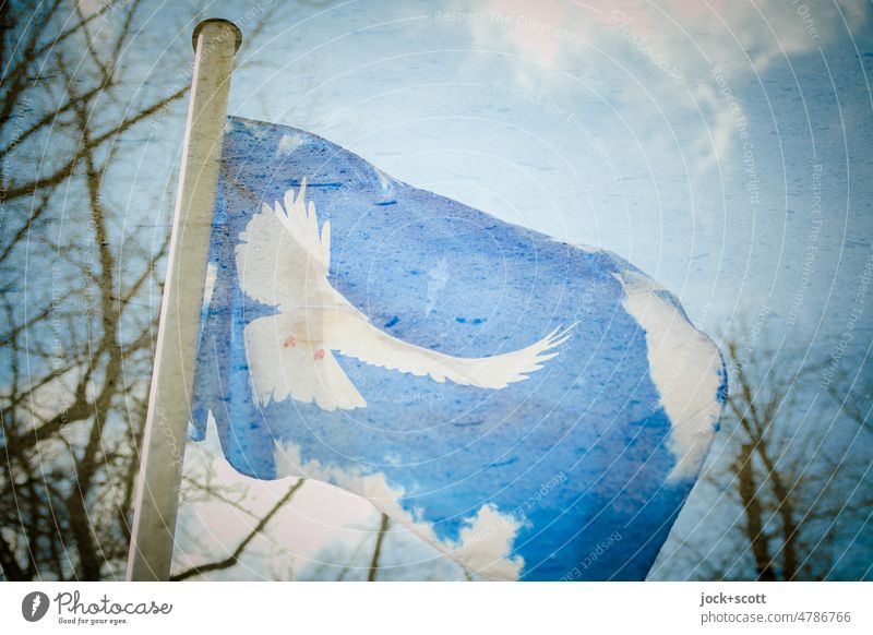 wehende Fahne von Friedenstaube - ein lizenzfreies Stock Foto von Photocase
