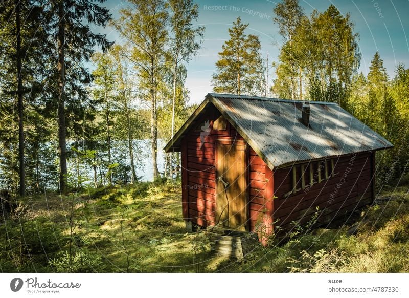 Ett rött hus vid sjön Ferien & Urlaub & Reisen Haus Umwelt Natur Baum Wiese authentisch grün rot Stimmung Einsamkeit Idylle Wald Schweden Ferienhaus