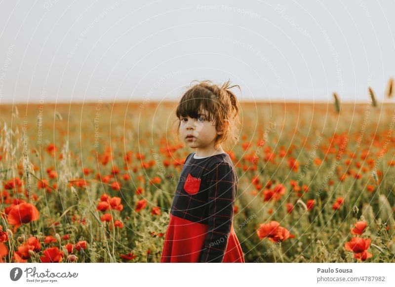 Niedliches Mädchen auf Mohnfeld stehend niedlich eine Person echte Menschen 3-8 Jahre Kind Kindheit Farbfoto Kaukasier Freude Porträt Lifestyle Mohnblüte Wiese