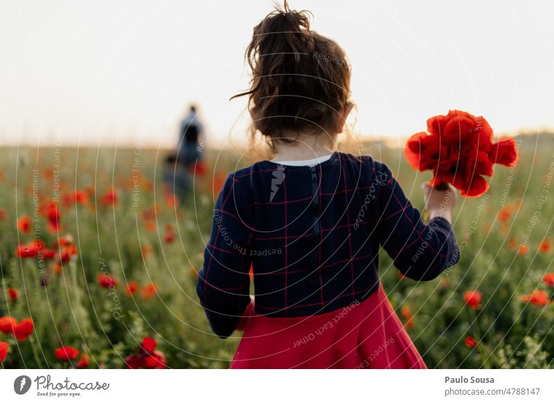 Rückansicht Kind hält Mohnblumenstrauß Mädchen Beteiligung Blumenstrauß Mohnblüte Mohnfeld Frühling Frühlingsgefühle Klatschmohn Pflanze Natur Feld Farbfoto
