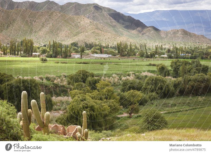 Eine Landschaftsansicht einer ländlichen Szene, umgeben von Bergen an einem bewölkten Tag Feld Bäume grün Wolken Kaktus Natur Ansicht im Freien malerisch Gras