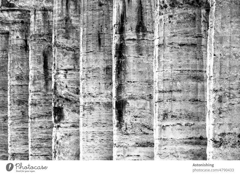 Säulenreihe, Paestum, Italien Kampanien alt Antike Altertum Steine Tempel Historisch Geschichte griechisch historisch Tourismus Außenaufnahme Architektur