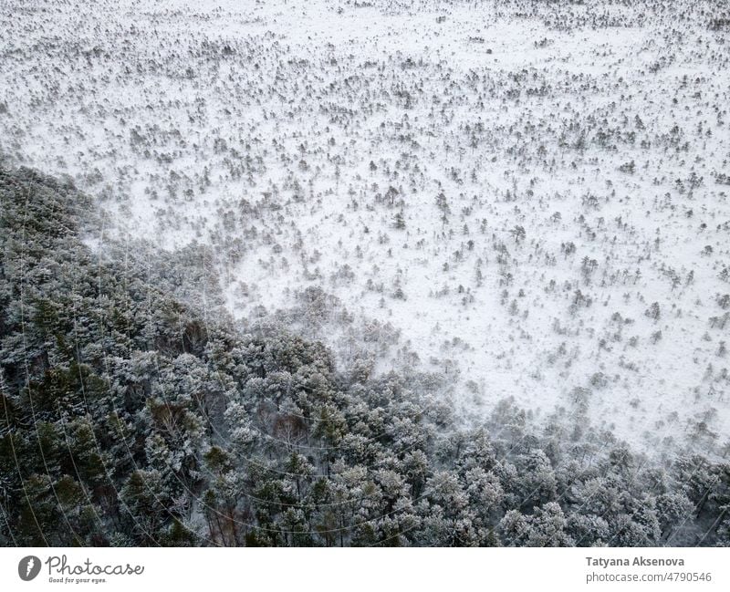 Bäume mit Schnee bedeckt im Winterwald Luftaufnahme Wald Natur Saison Baum Antenne Dröhnen kalt Wetter Frost Landschaft Ansicht weiß Holz im Freien Eis