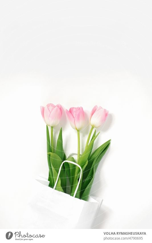 Flat Lay Zusammensetzung mit rosa Tulpen in Papiertüte auf weißem Hintergrund Gruß Paket romantisch Frau Geburtstag Dekoration & Verzierung Blume Geschenk