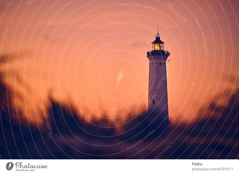Leuchtturm "Lyngvig Fyr" hinter den Dünen von Dänemarks Küste Nordsee maritim Meer Küstenlandschaft Bauwerk Landschaft Wahrzeichen Jütland Sonnenaufgang