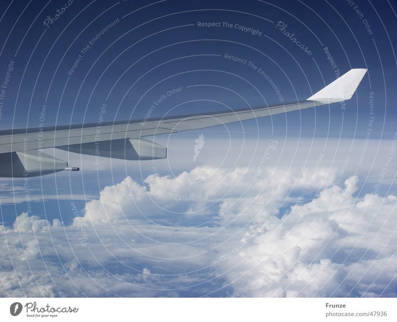 Über den Wolken... Flugzeug Tragfläche Ferien & Urlaub & Reisen Himmel blau fliegen Luftverkehr
