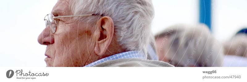 die Konzentration Großvater Mann grau Brille Senior Ruhestand Zeit Denken Kopf Gesicht Blick frei
