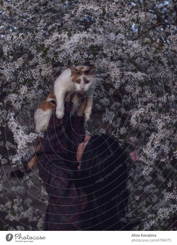 Selbstporträt unter einem Pflaumenbaum mit einer Katze Porträt Person hält eine Katze Pflaumenblüten dunkles Haar Farbfoto Haustier ein Haustier halten
