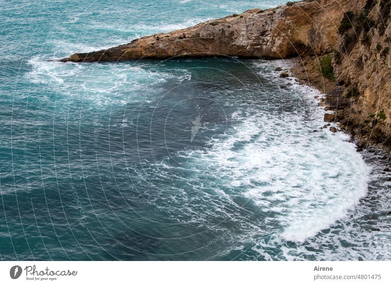 furchtlos Wellen Felsen türkis Kraft Wasser Urelemente Vogelperspektive Klippe Meer Naturgewalt gewaltig Schaum Wellengang felsig steinig Brandung überspült