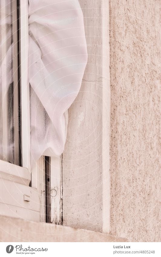 Eine weiße Gardine, eingefangen im Fenster... zart windig eingeklemmt hell Licht Vorhang Stoff Häusliches Leben Sonnenlicht Detailaufnahme Faltenwurf hängen