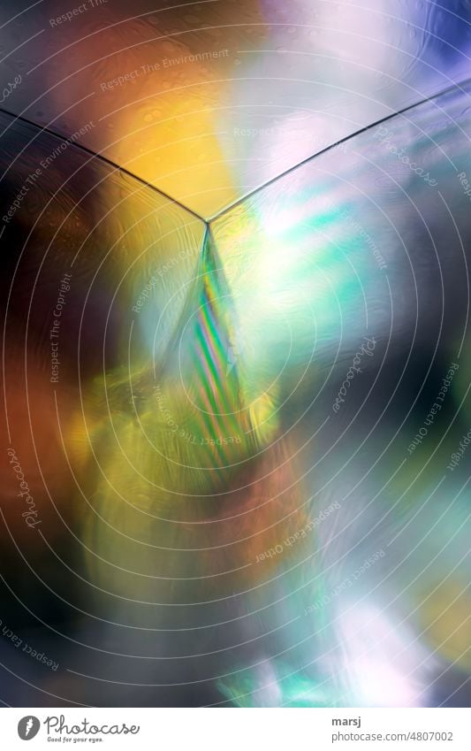 filigran | bunte Seifenblasenkunst Blase Farbfoto Lichterscheinung leuchten Lebensfreude Hintergrundbild mehrfarbig Außenaufnahme zart fein schillernd elegant