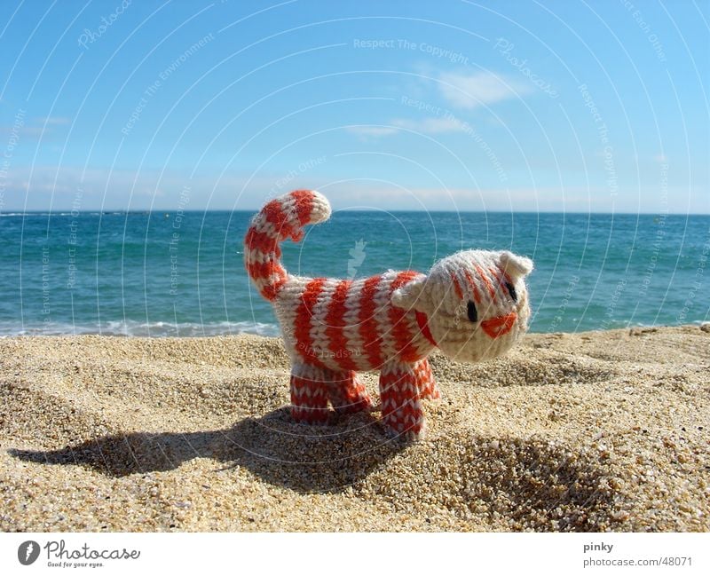 Mehr Meer Katze Seil Barcelona Strand gestreift Streifen Tier Stofftiere Hauskatze cat kitty gehäkelt crocheted ocean sea Sand blau le chat Einsamkeit weltreise