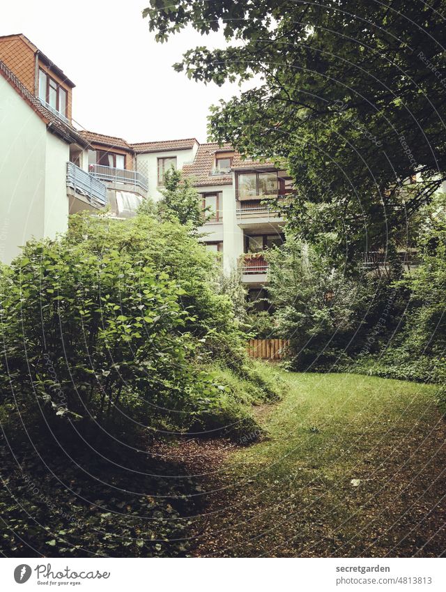 Raus ins Grüne II leben Mehrfamilienhaus Wohnungsmarkt Baum Gras Wiese versteckt Versteck Büsche modern verdichtet braun eigentumswohnung Garten Innenhof grün