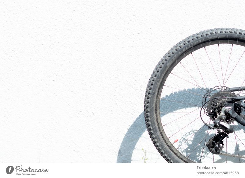 Teil eines Fahrrades mit Schatten an einer weißen Wand Rad Fahrradreifen Reifen Speichen Detailaufnahme Nahaufnahme Felge Fahrradfahren Außenaufnahme