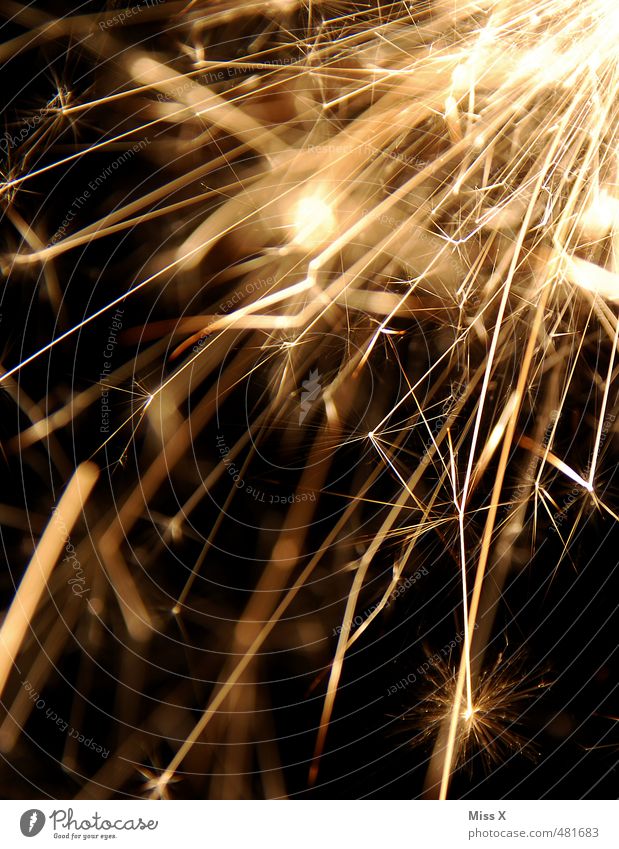Silvester Feste & Feiern Silvester u. Neujahr glänzend Wunderkerze Feuerwerk Neujahrsfest Explosion Stern (Symbol) Funken gold Farbfoto Nahaufnahme Menschenleer