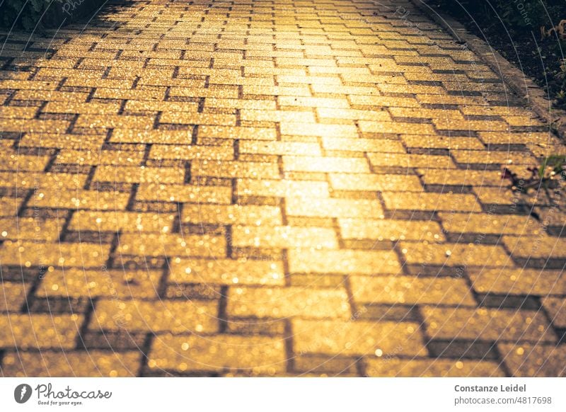 Glitzernde Pflastersteine einer Hofeinfahrt, die die Sonne gold reflektieren. Verkehrswege quadrate quadratisch Linie Orientierung Wege & Pfade Zeichen