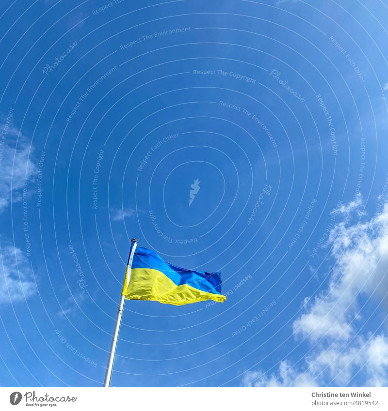 Die Nationalflagge der Ukraine weht im Wind vor leicht bewölktem Himmel ukrainische farben blau-gelb ukrainische Flagge Flaggen Fahne Frieden Ukraine-Krieg