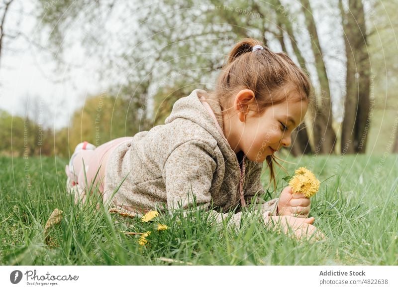 Positives kleines Kind auf der Wiese liegend mit einem Bund Löwenzahn im Park Mädchen Lügen Rasen Lächeln Glück Blume pflücken sich[Akk] entspannen Gras positiv