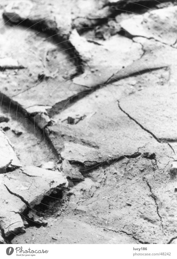 Spuren trocken Riss Fußspur Außenaufnahme Erde Reifenprofil Nahaufnahme Traktorspur