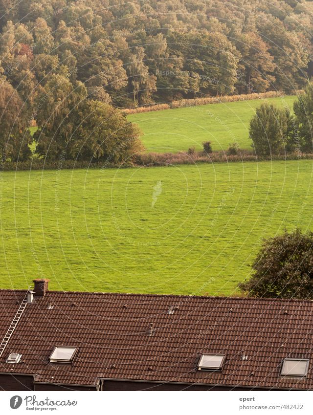 Geometrie Natur Landschaft Pflanze Garten Wiese Feld Wald Grenze Begrenzung Zaun braun grün Kultur Ordnung Perspektive Häusliches Leben Farbfoto Gedeckte Farben