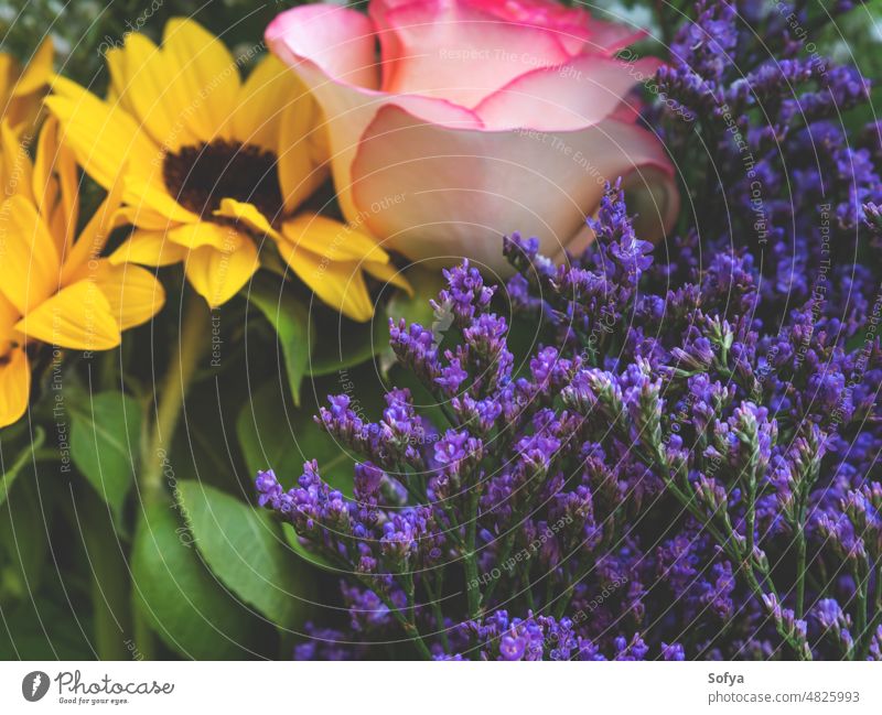 Buntes schönes Frühlingsbouquet in Großaufnahme. Rosen, Sonnenblumen, lila Blumen Blumenstrauß farbenfroh Roséwein Haufen rosa Muttertag Valentinsgruß Tag