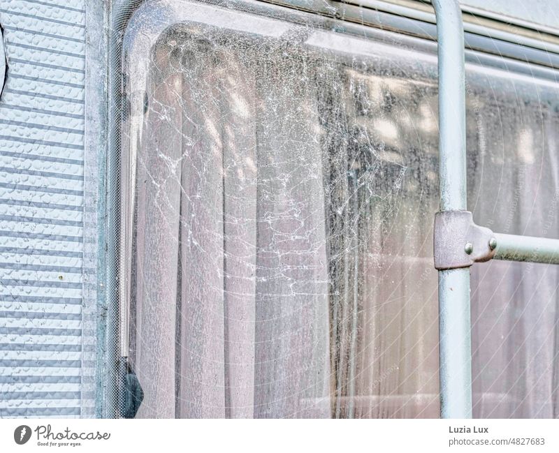 Hinter dem Fenster eines stillgelegten Reisemobil hängt noch eine zarte weiße Gardine, davor ein großes Spinnennetz Wohnmobil Wohnwagen alt verlassen altmodisch