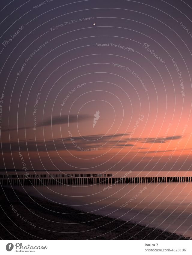 Sonnenuntergang Abenddämmerung Abendlicht Mond Himmel Meer Küste Ostsee ostseeküste Urlaub Urlaubsstimmung blaue Stunde Buhne Wasser Strand Ostseeküste