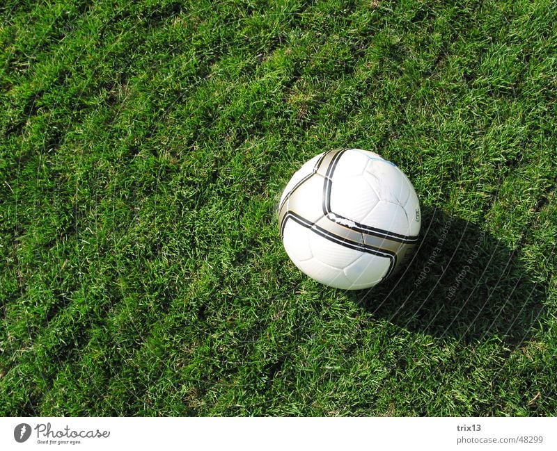 fussball Fußballplatz Wiese rund Linie grün gestreift weiß Rasen Ball Schatten Bodenbelag Sport ruhig verrückt