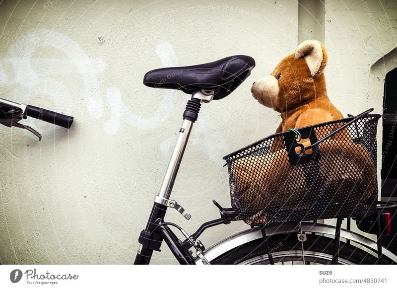 Teddy fährt mit Fahrrad Plüschtier Teddybär Spielzeug Bär braun Farbfoto Außenaufnahme sitzen niedlich Kindheit Gepäckträger Detailaufnahme klein Menschenleer