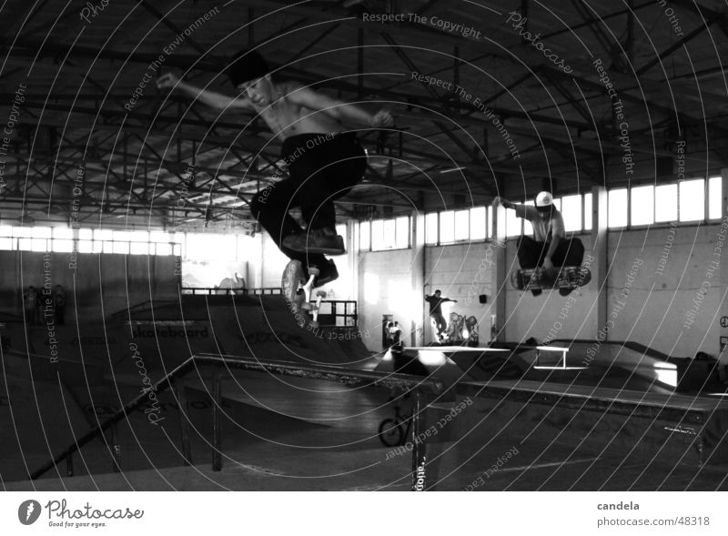Double Action springen Sport synchron Salto Lifestyle Freizeit & Hobby Skateboarding Funsport Extremsport rail Holzbrett contest Jugendliche