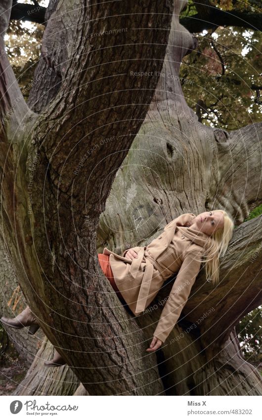 Verschlungen Mensch feminin Junge Frau Jugendliche 1 18-30 Jahre Erwachsene Natur Herbst Baum Wald Mantel blond langhaarig liegen gigantisch schön Senior Idylle