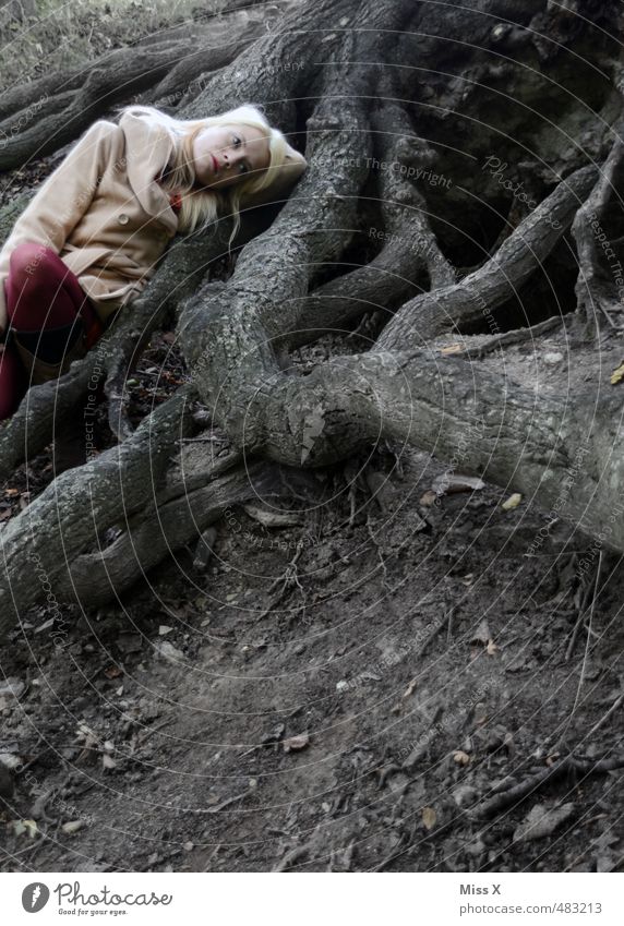 was soll ich antworten...zu weit aus dem Fenster... Mensch feminin Frau Erwachsene 18-30 Jahre Jugendliche Natur Erde Herbst Winter Baum Wald Urwald Gefühle