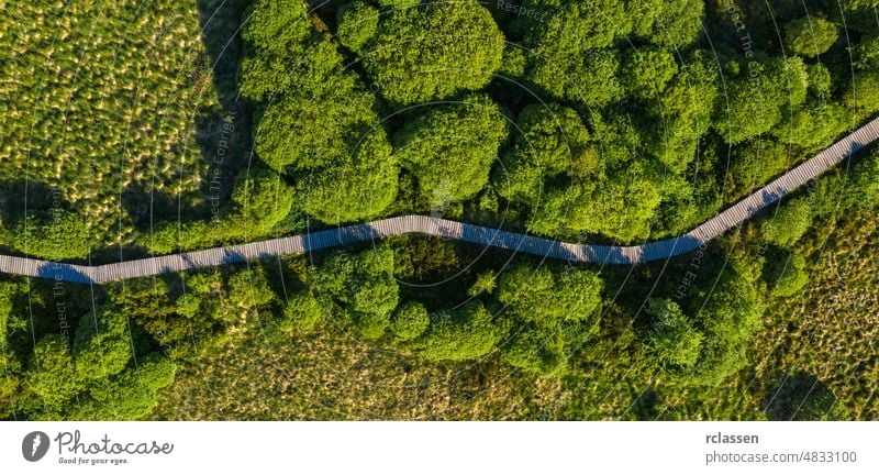 Promenadenweg im Hohen Venn im Nationalpark Eifel, Drohnenaufnahme venn Belgien Ardennen Gegend Hintergrund Weg schön Moor Dröhnen brack venn Wolken Erhaltung