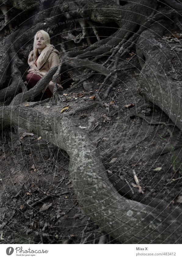graue Maus Mensch feminin Frau Erwachsene 1 18-30 Jahre Jugendliche Erde schlechtes Wetter Nebel Baum Wald blond sitzen warten bedrohlich dunkel gruselig