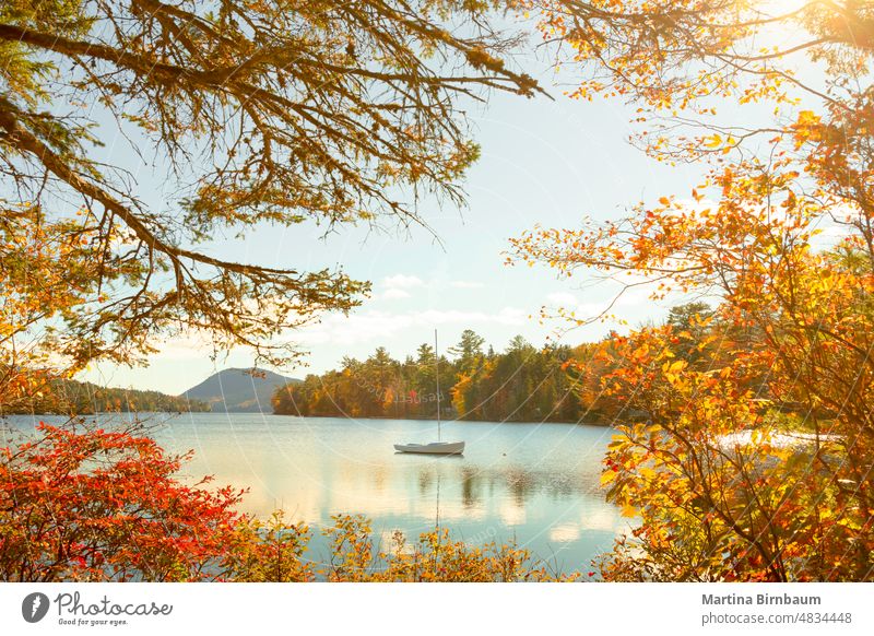 Ruhige, romantische Szenerie mit einem Segelboot auf dem Long Pond im Acadia National Park, Maine gerahmt Ferien Neuengland Langer Teich Akadien