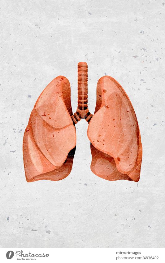 Moderne schöne stilisierte monotone menschliche Lunge Organ Symbole und Icons die menschliche Lunge als inneres Organ verzweigte Passagen
